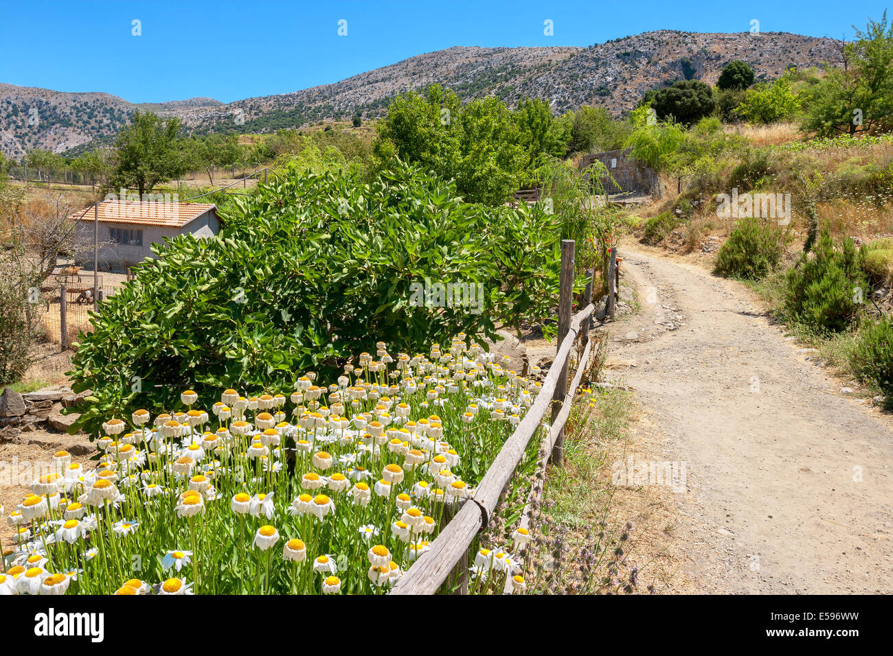 Countryside Crete Island Greece High Resolution Stock Photography and