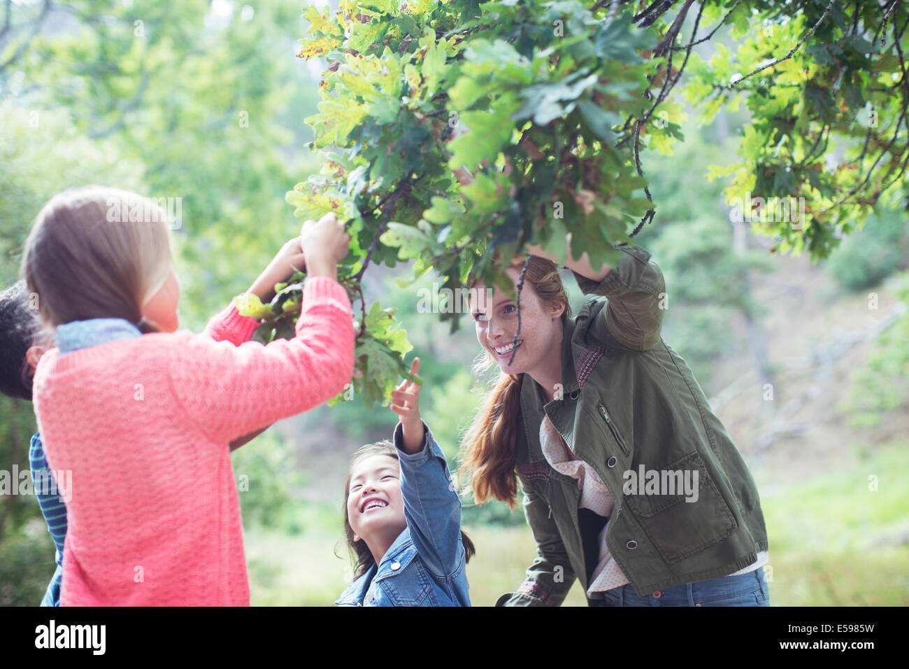 Students and teacher examining leaves outdoors Stock Photo