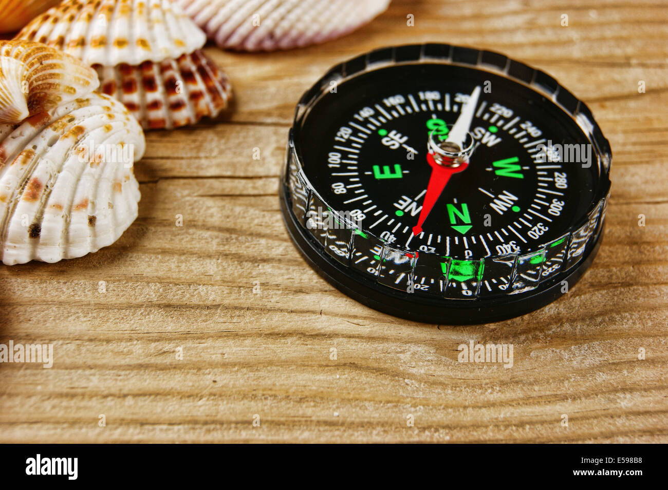 Sea shells and compass on old wooden board Stock Photo - Alamy