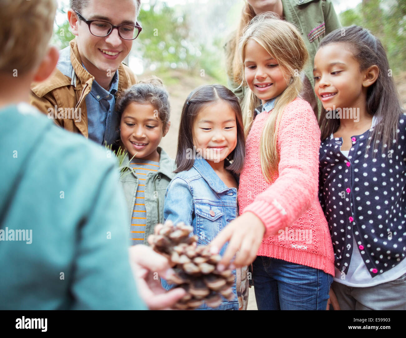 Students and teacher examining pine cone in forest Stock Photo