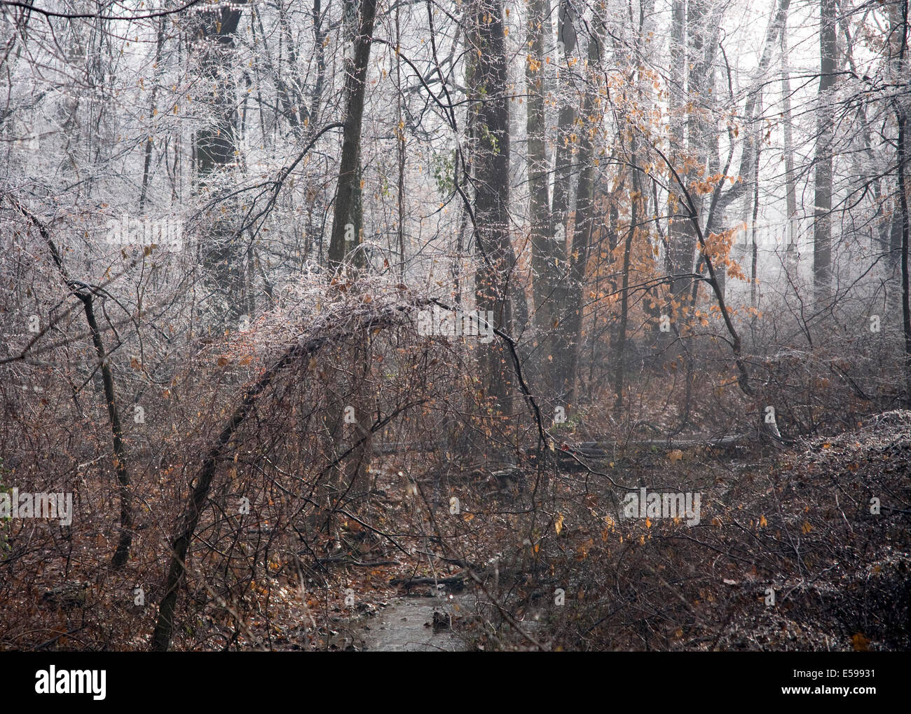 Fog ice creek hi-res stock photography and images - Alamy