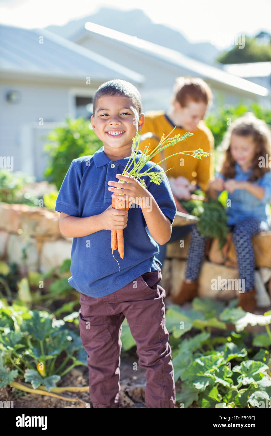 Boy holding bunch of carrots in garden Stock Photo