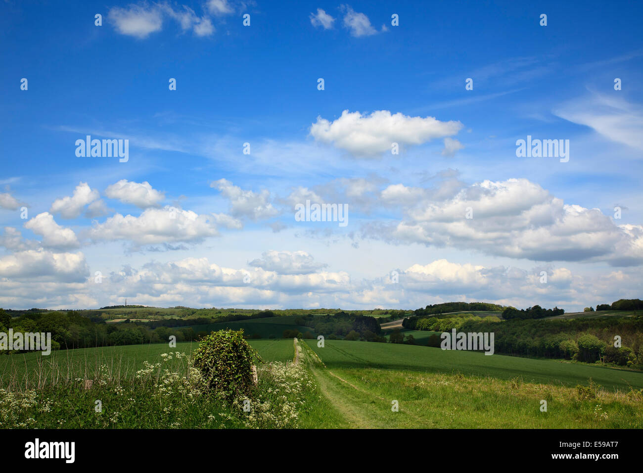 England, West Sussex, Slindon, View of the South Downs with public Bridleway strrecthing into the distance. Stock Photo