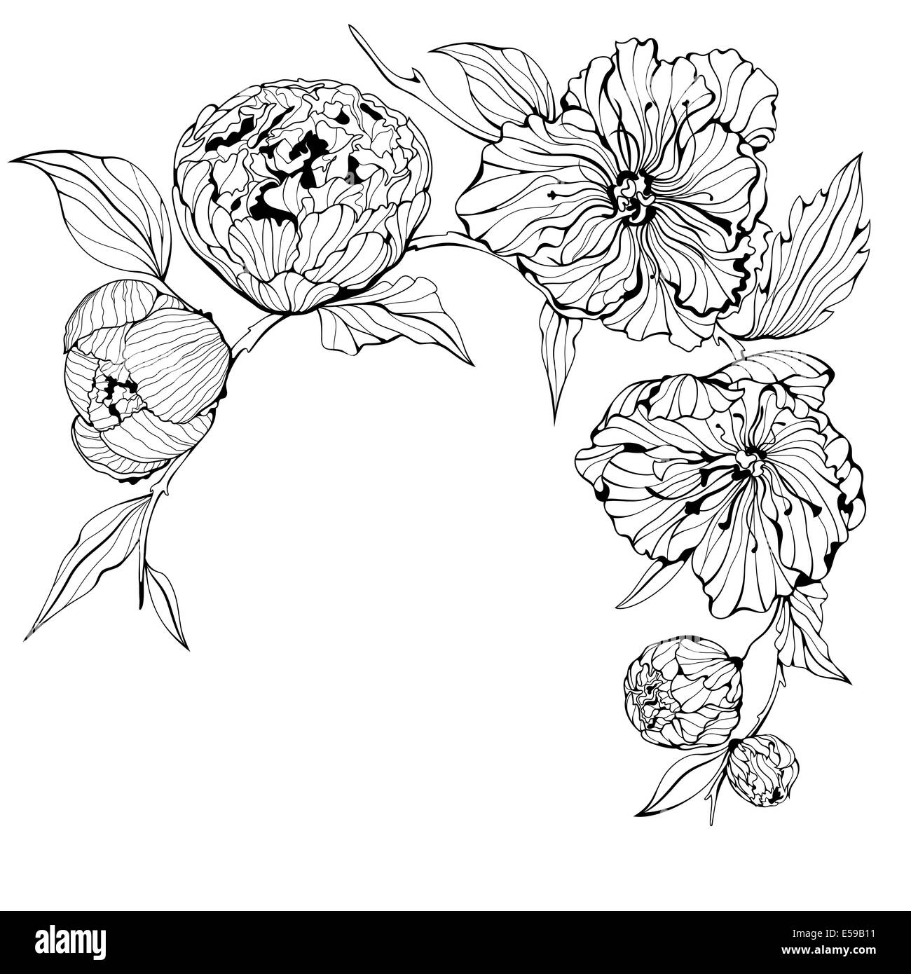 Black and white background with gentle peony flowers Stock Photo