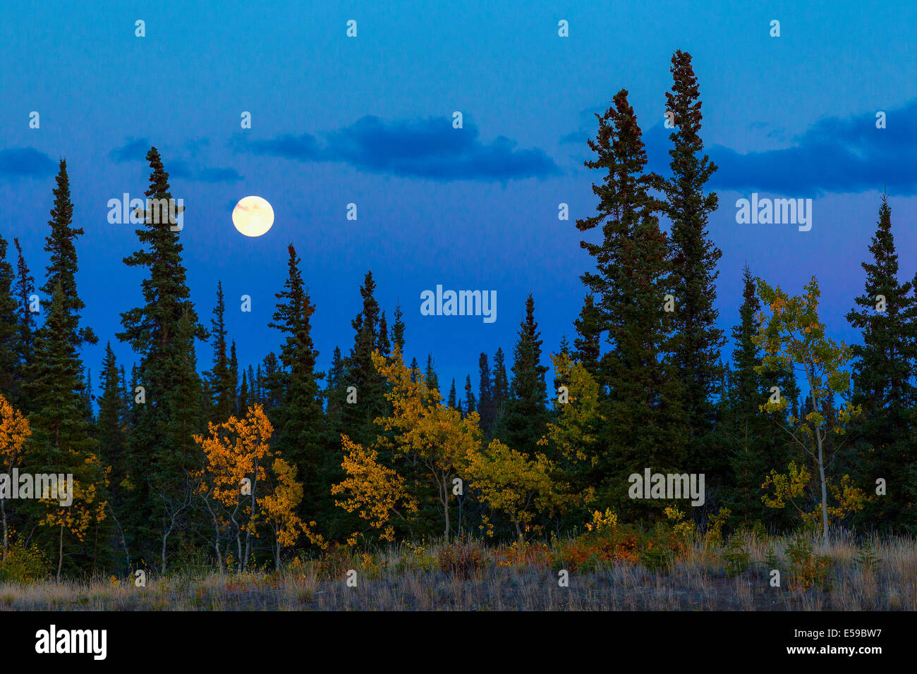 Full moon in Alaska, USA Stock Photo