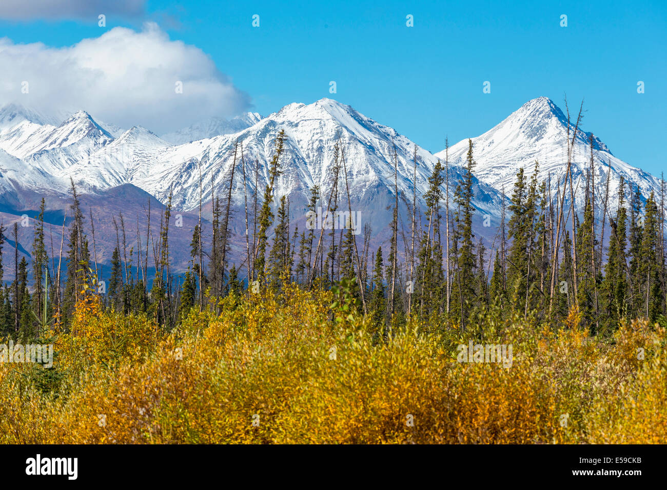 Kluane National Park and Reserve in Yukon, Canada Stock Photo