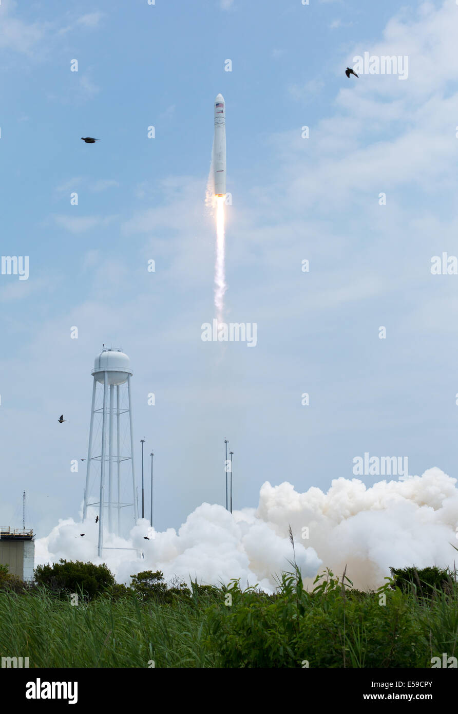 The Orbital Sciences Corporation Antares rocket launches from Pad-0A with the Cygnus spacecraft onboard, Sunday, July 13, 2014, at NASA's Wallops Flight Facility in Virginia. The Cygnus spacecraft is filled with over 3,000 pounds of supplies for the Inter Stock Photo