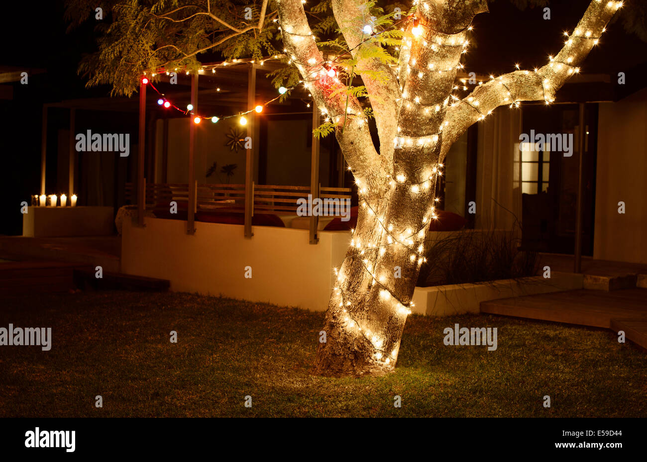 Tree lit up at night in backyard Stock Photo