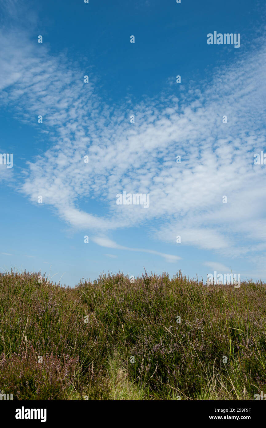 Altocumulus clouds in the Peak District Stock Photo - Alamy