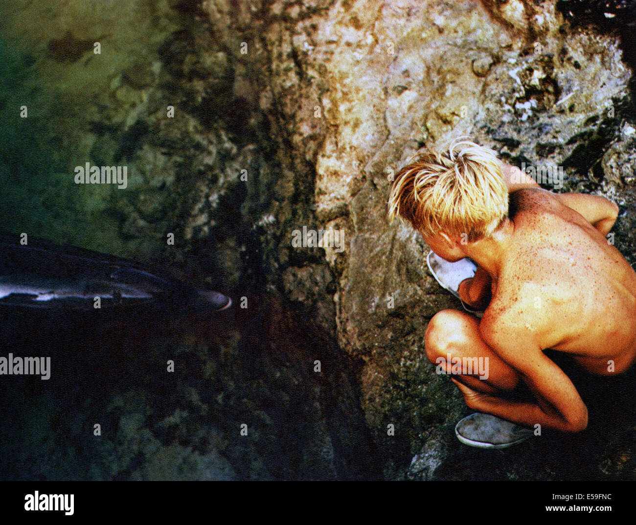 FLIPPER (1963)  LUKE HALPIN, JAMES B CLARK (DIR)  FPER 005  MOVIESTORE COLLECTION LTD Stock Photo