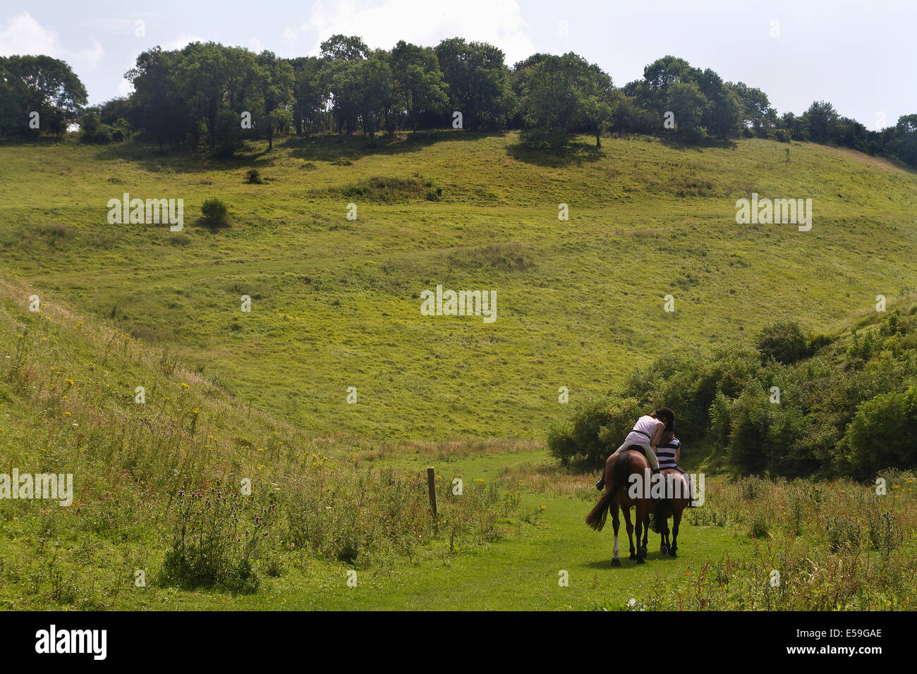 Horse riding in Devil's Dyke Sussex Stock Photo Alamy