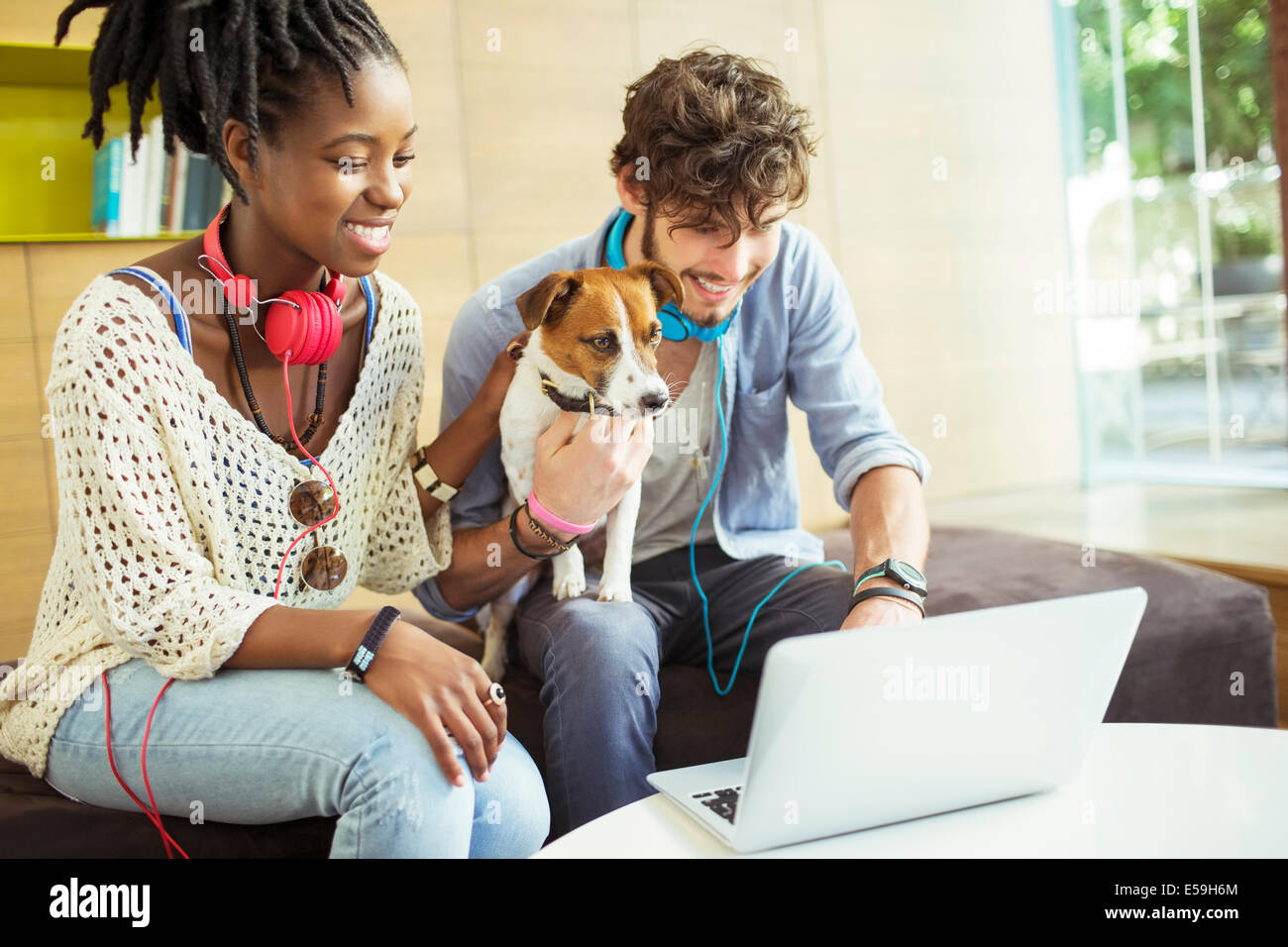 Friends and dog working on laptop in office Stock Photo