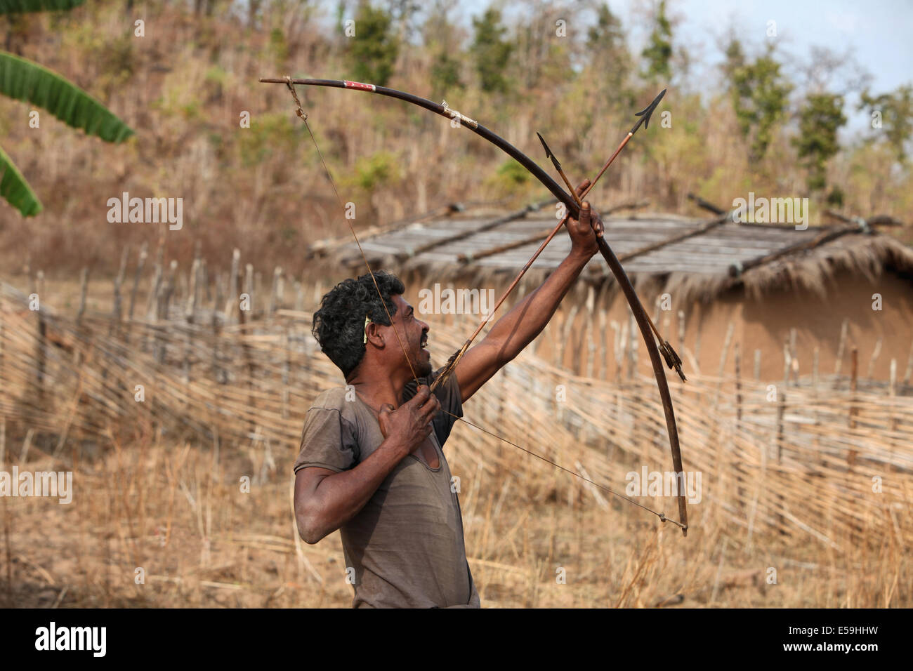 Tribal archer with Bow and arrow, Kamar tribe, Matal Village, Chattisgadh, India Stock Photo