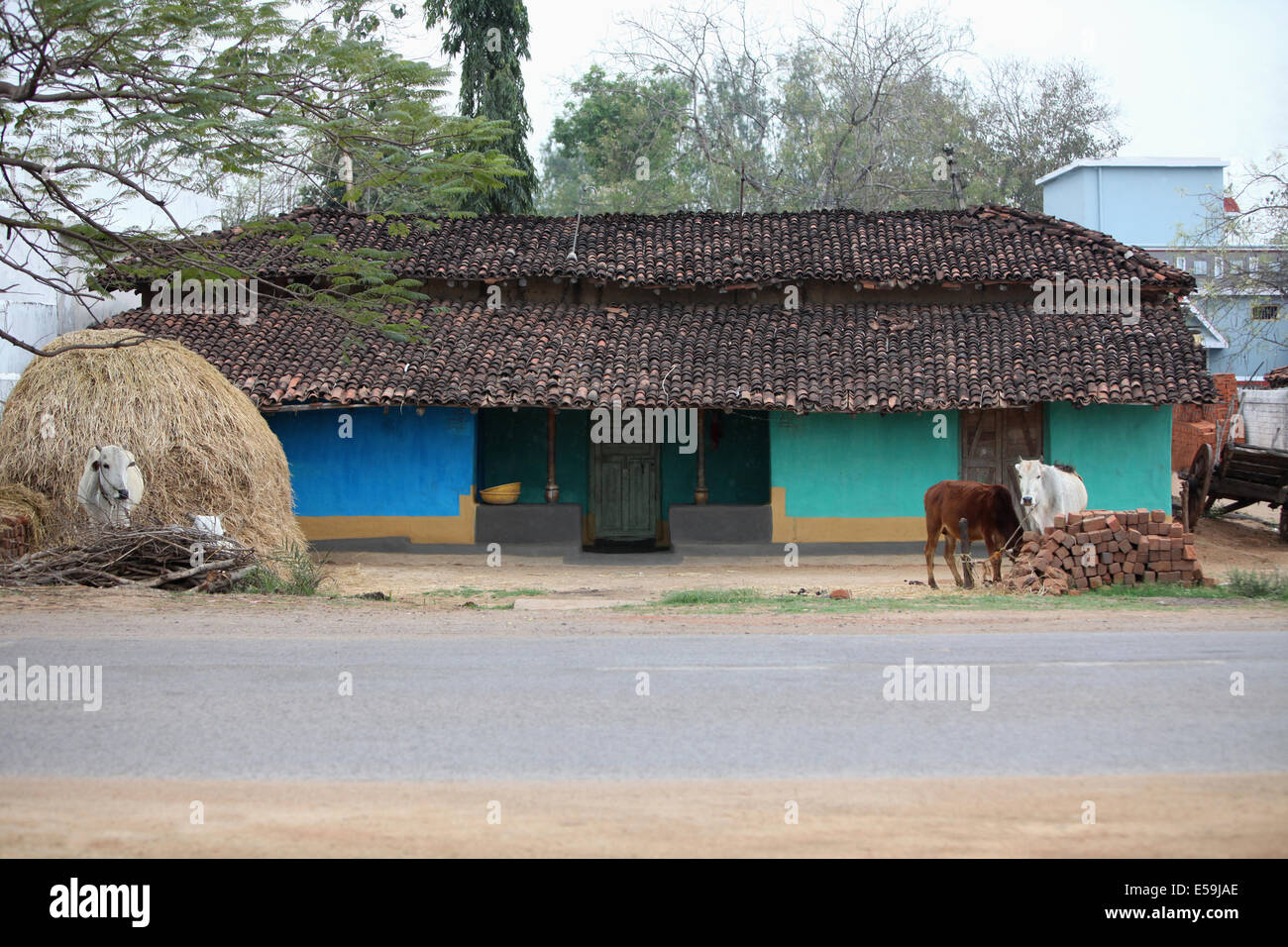 Tribal mud houses and courtyard. Mujalgodi Village, Chattisgadh, India Stock Photo