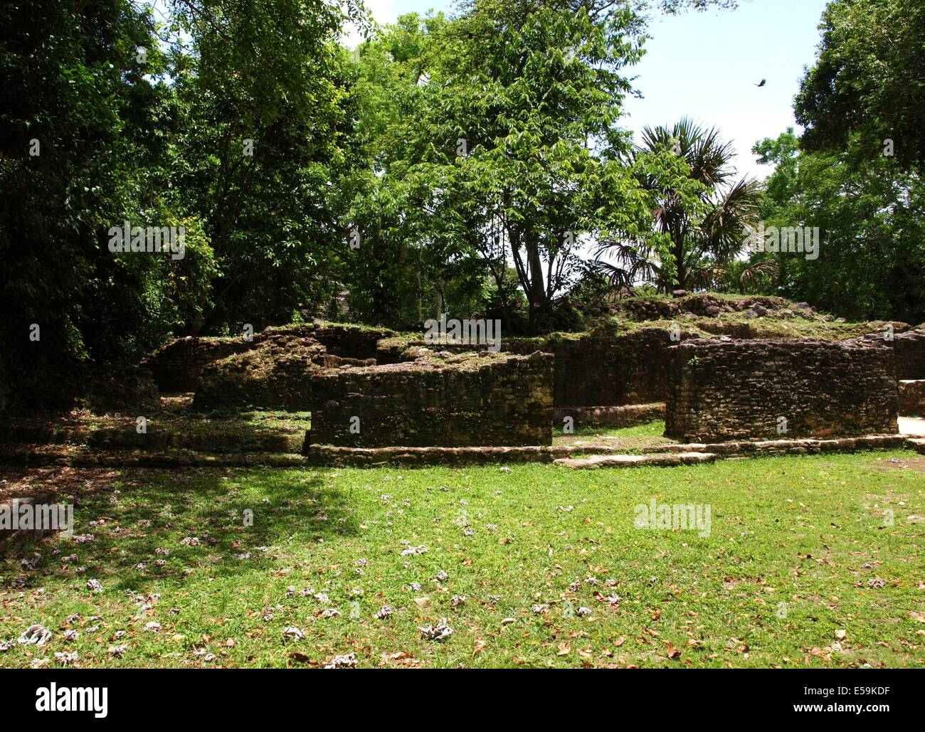 Royal residence of the ancient Maya at Lamanai in Belize Stock Photo