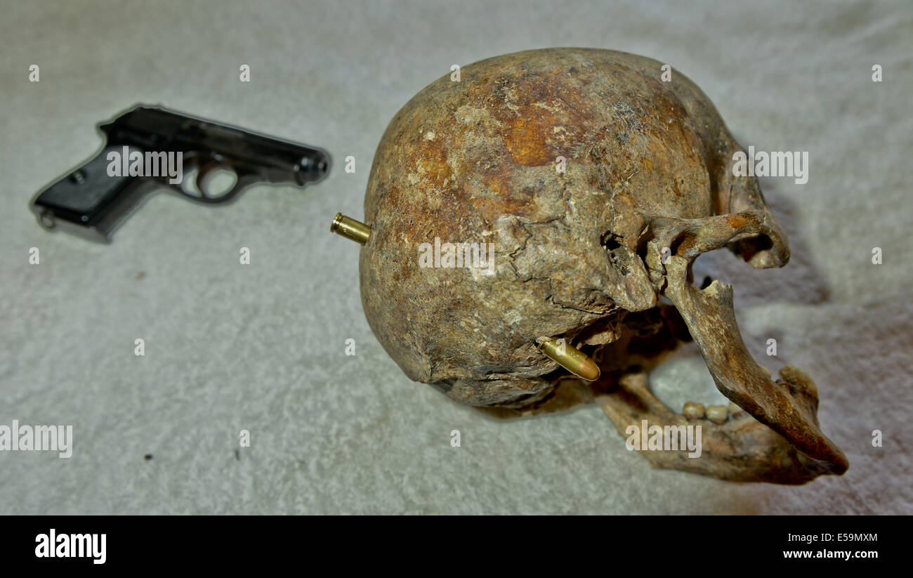 Picture By:Jules Annan Picture Shows:Walther PPK hand pistol with the Skull remains of a former Ustacha militia- Black Legion officer, who had been severely beaten and then executed with his own PPK, showing the entry hole and the path the bullet would have taken Date ; 08/07/2014 Stock Photo