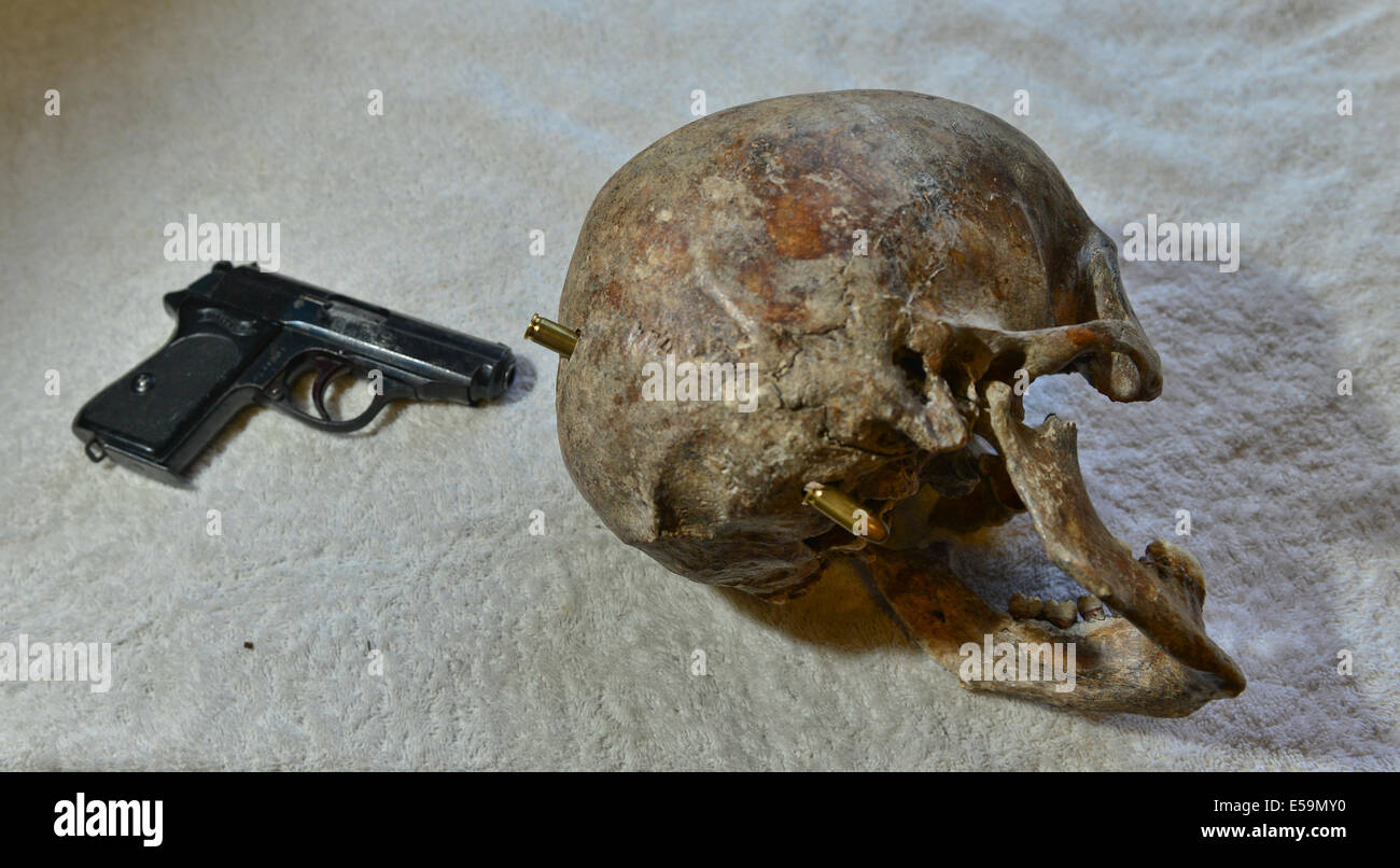 Picture By:Jules Annan Picture Shows:Walther PPK hand pistol with the Skull remains of a former Ustacha militia- Black Legion officer, who had been severely beaten and then executed with his own PPK, showing the entry hole and the path the bullet would have taken Date ; 08/07/2014 Stock Photo