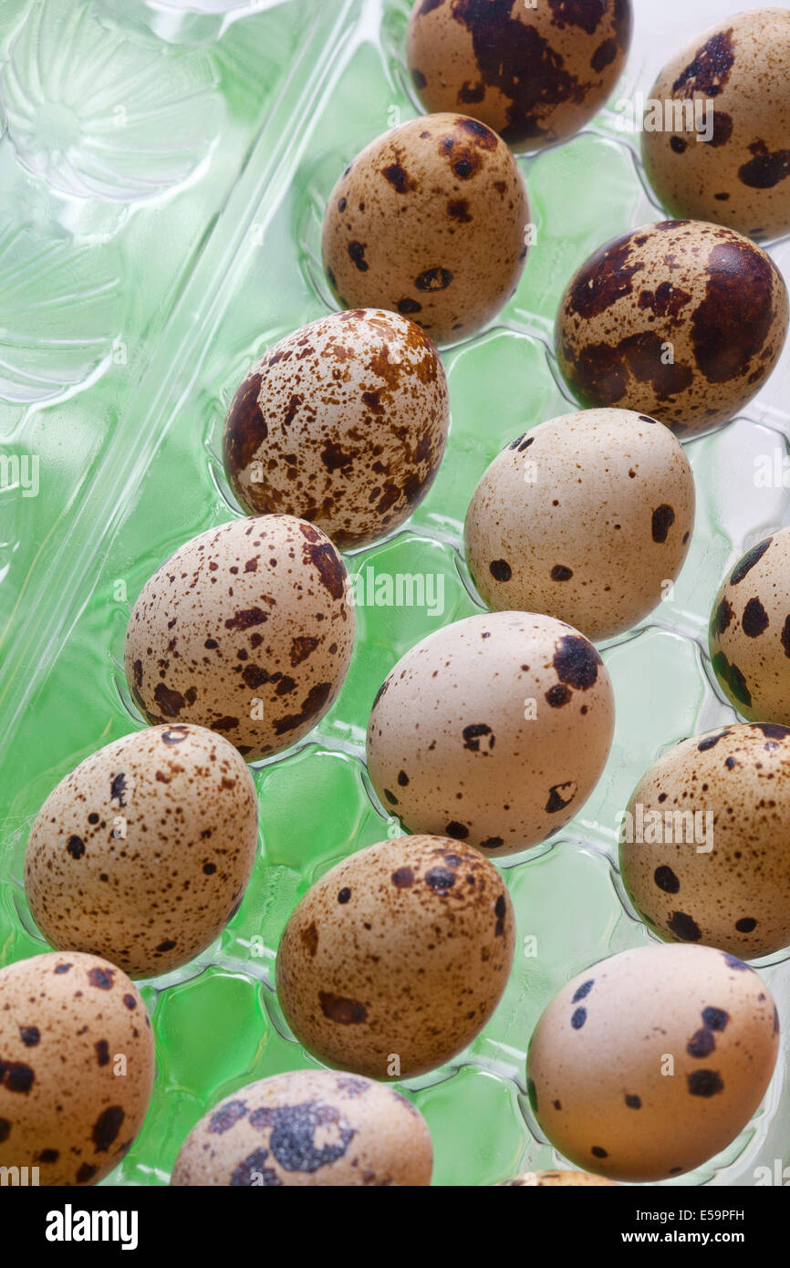 Quail Eggs in container Stock Photo Alamy