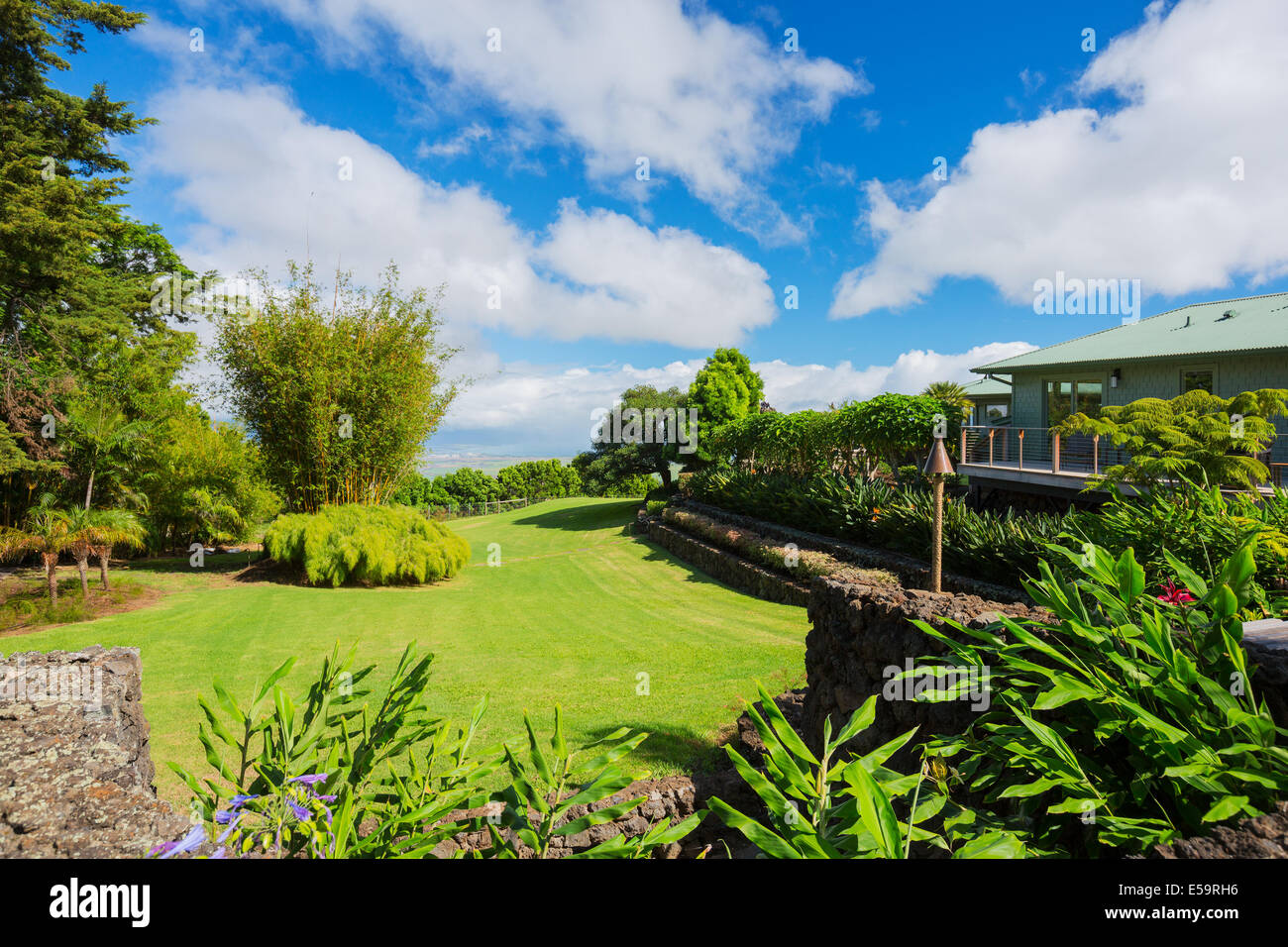 Suburban Home With Garden And Green Grassy Lawn Stock Photo Alamy