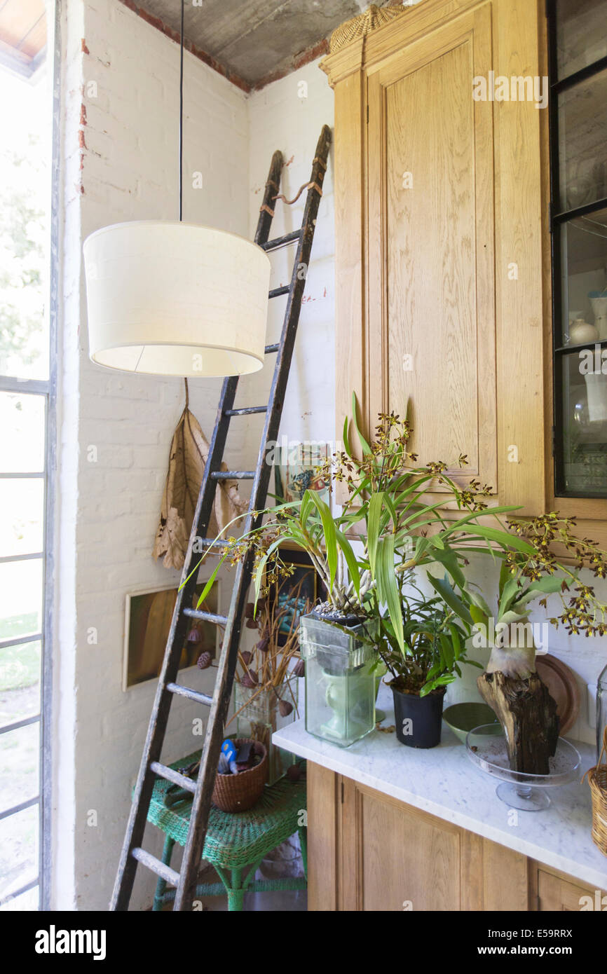Ladder, plants and cabinets in rustic house Stock Photo