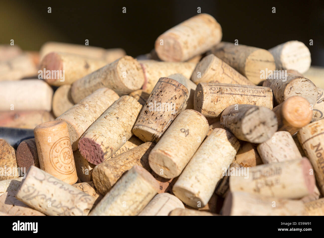 Lots of wine bottle corks in a pile. Stock Photo