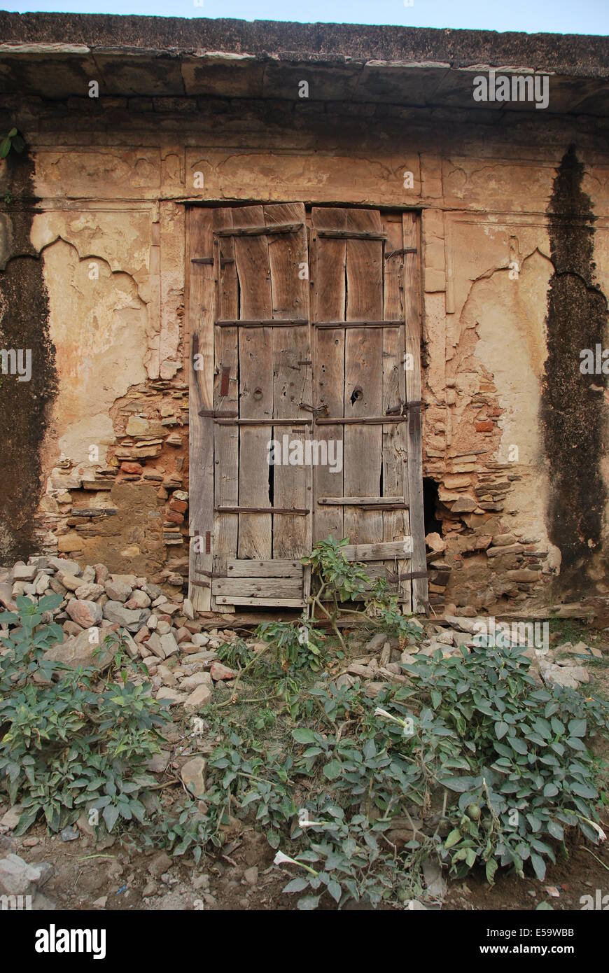 India. Rajasthan. Abandoned simple village door structure. Wood , plaster and stone. Natural colours. Plants in the foreground. Stock Photo