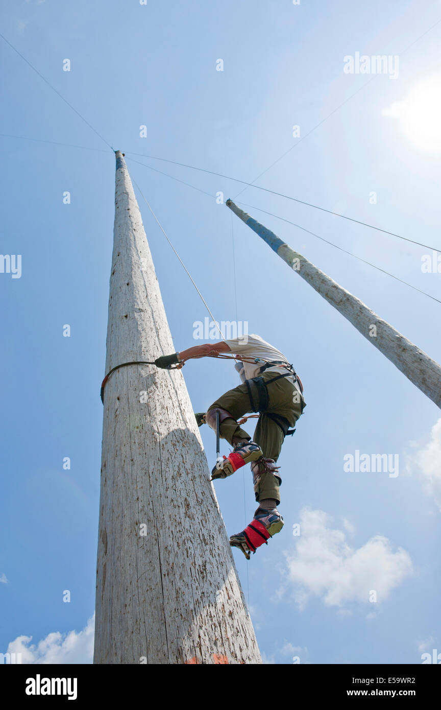Llanelwedd, UK. 23rd July 2014. 81-year-old George Tipping from Liverpool races up the 100 feet (30.48 Meters) pole  in the Forestry Area.  Record numbers of visitors in excess of 240,000 are expected this week over the four day period of Europe’s largest agricultural show. Livestock classes and special awards have attracted 8,000 plus entries, 670 more than last year. The first ever Royal Welsh Show was at Aberystwyth in 1904 and attracted 442 livestock entries. Credit:  Graham M. Lawrence/Alamy Live News. Stock Photo