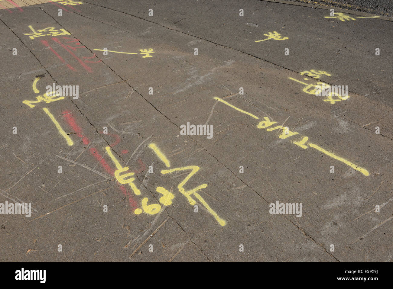 Spray painted lines and markings on a pavement indicating the position of underground utilities Stock Photo