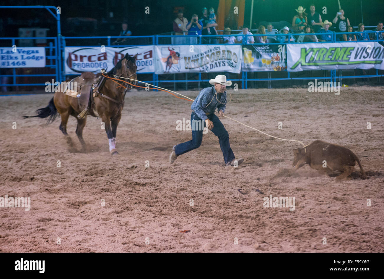 Cowboys Participating in a Calf roping Competition at the Helldorado ...