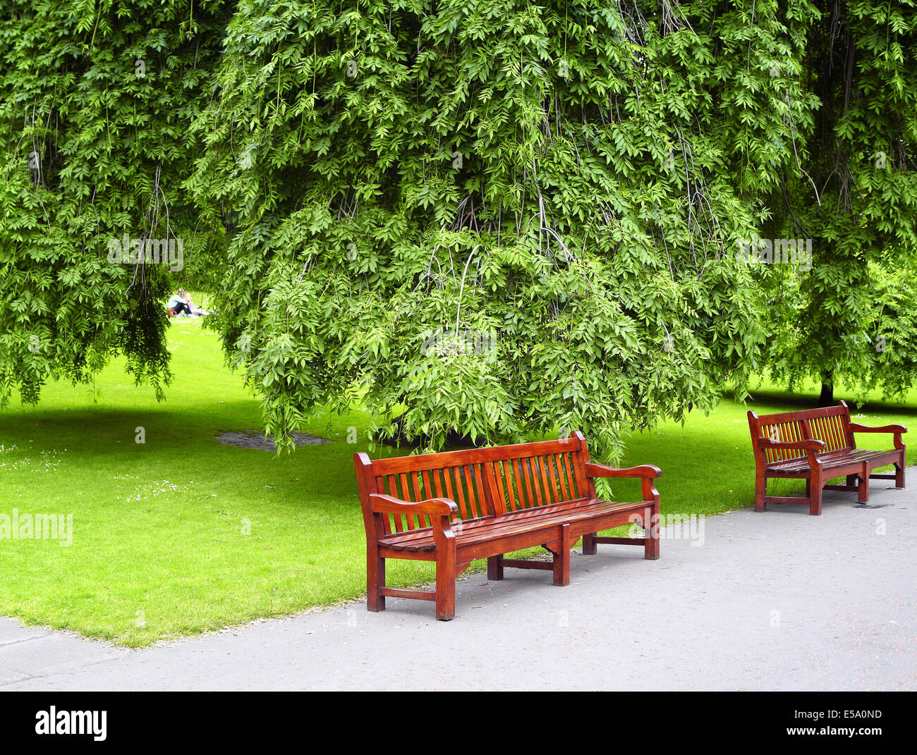Alley with green leaves hi-res stock photography and images - Alamy