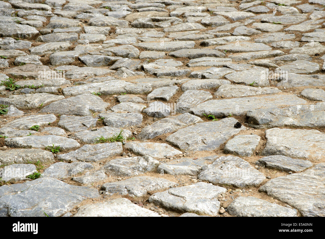 texture of old path paved with natural stones Stock Photo