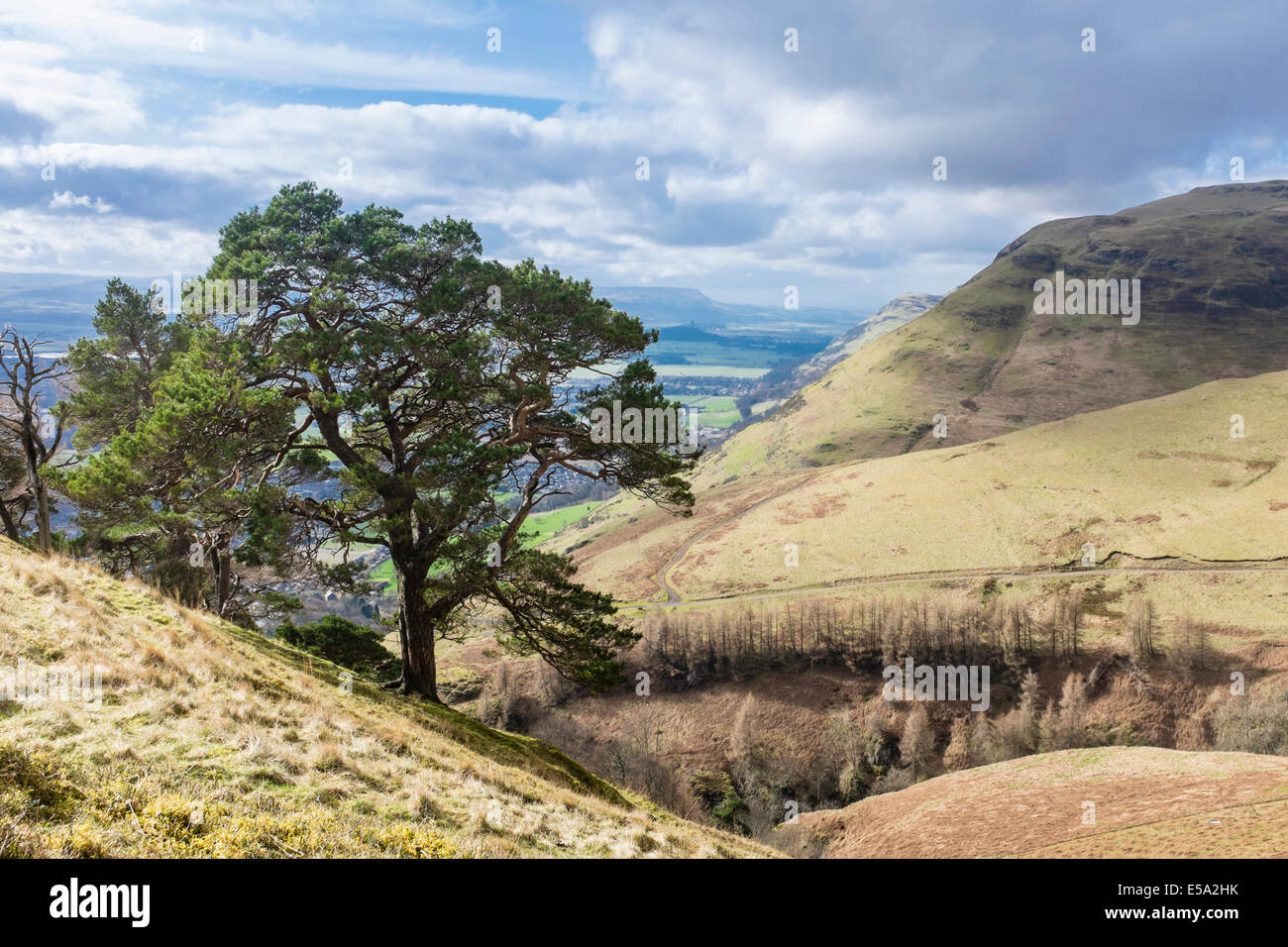 Wood Hill, Ochil Hills with view towards Stirling Stock Photo