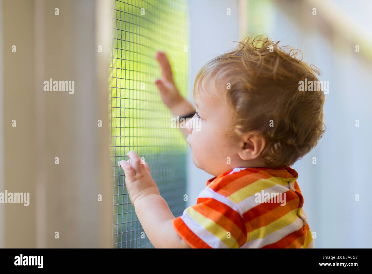 Caucasian toddler peering out screen door Stock Photo