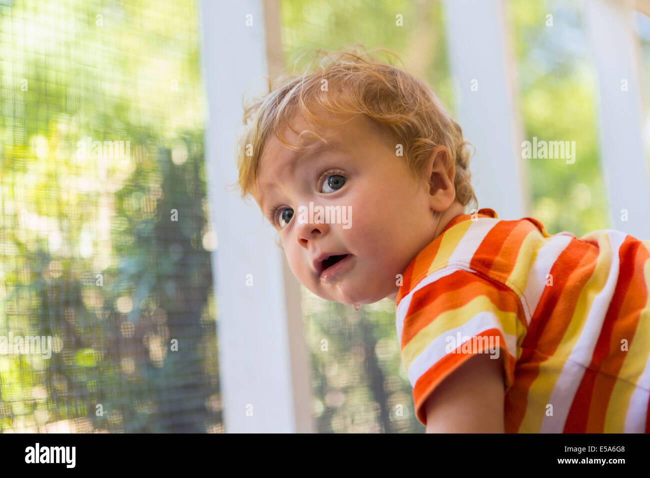 Caucasian toddler peering out screen fence Stock Photo