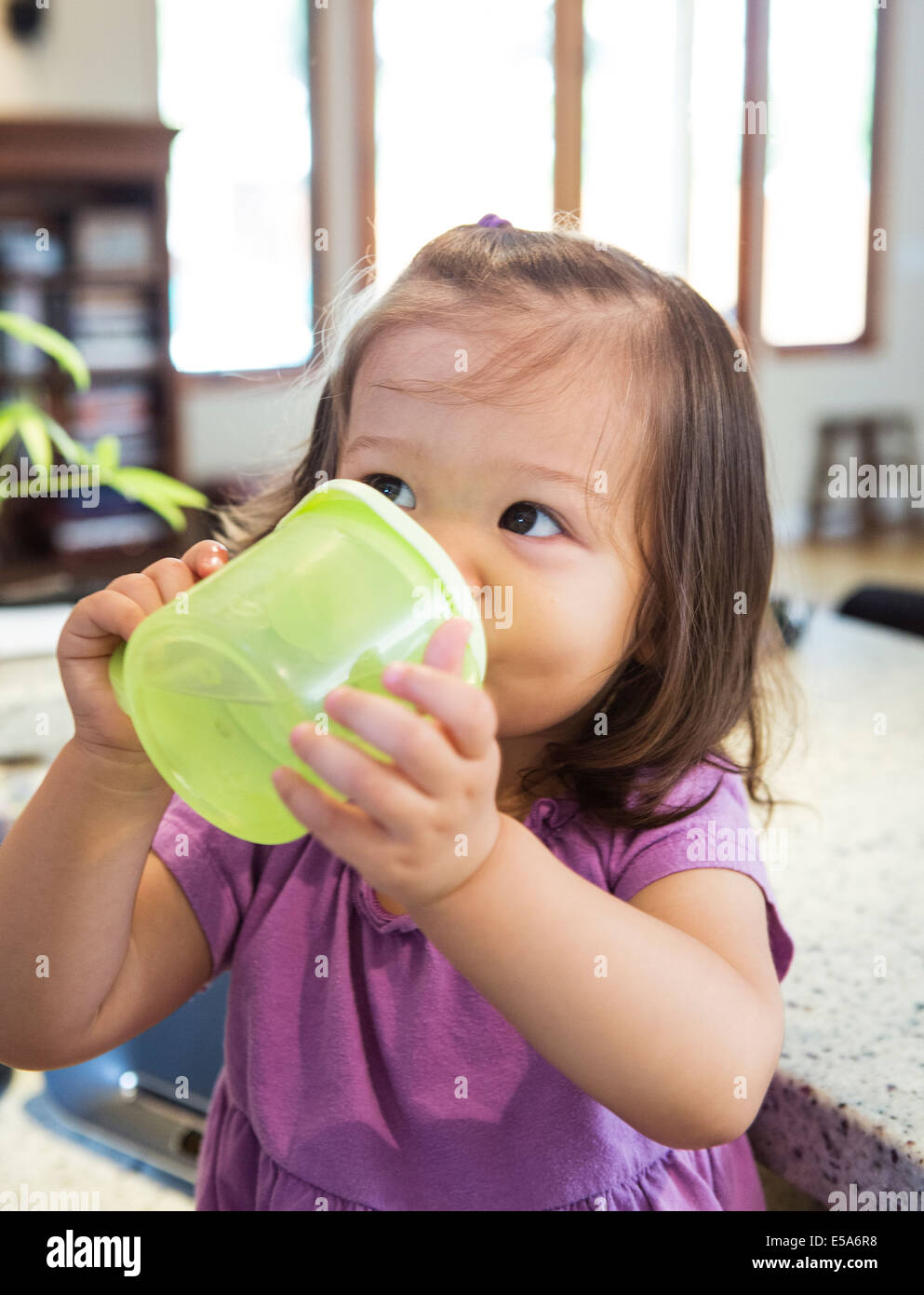 https://c8.alamy.com/comp/E5A6R8/mixed-race-girl-drinking-from-sippy-cup-in-kitchen-E5A6R8.jpg