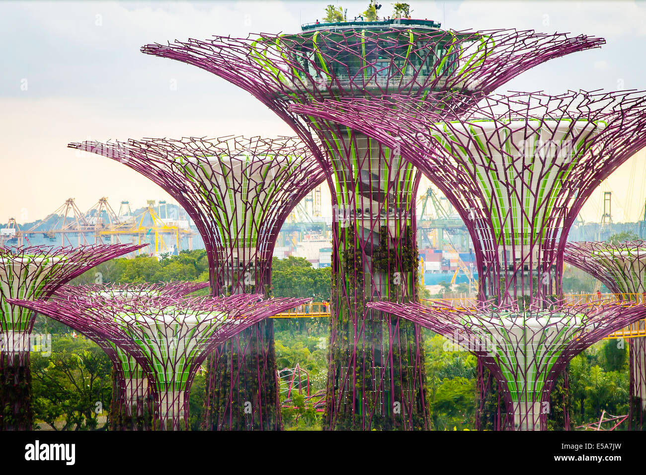 Electric Supertrees in park, Singapore, Republic of Singapore Stock Photo