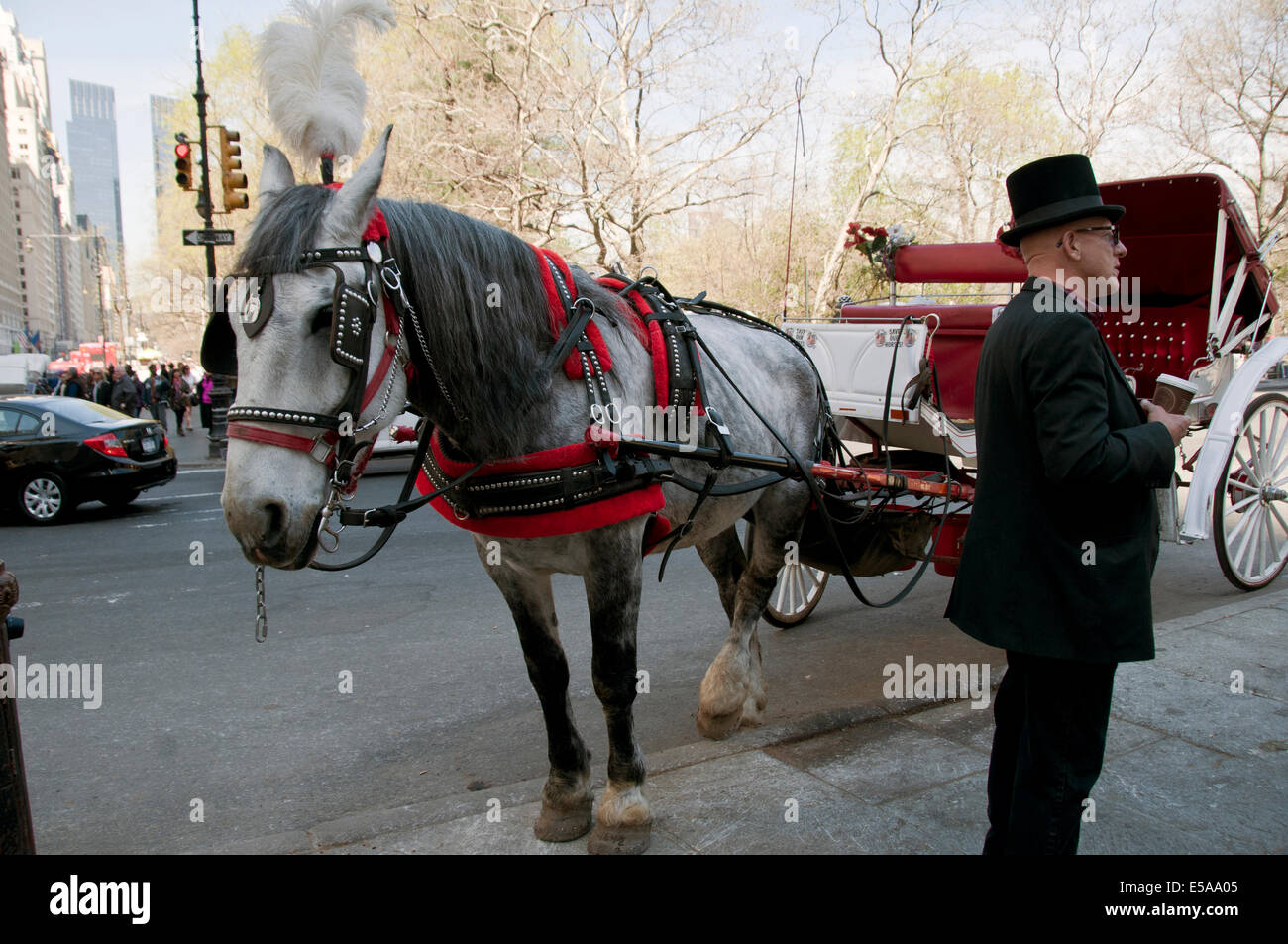 Horse drawn carriages outside Plaza Hotel taking visitors on tour around central Park and mid Manhattan  New York City. Stock Photo