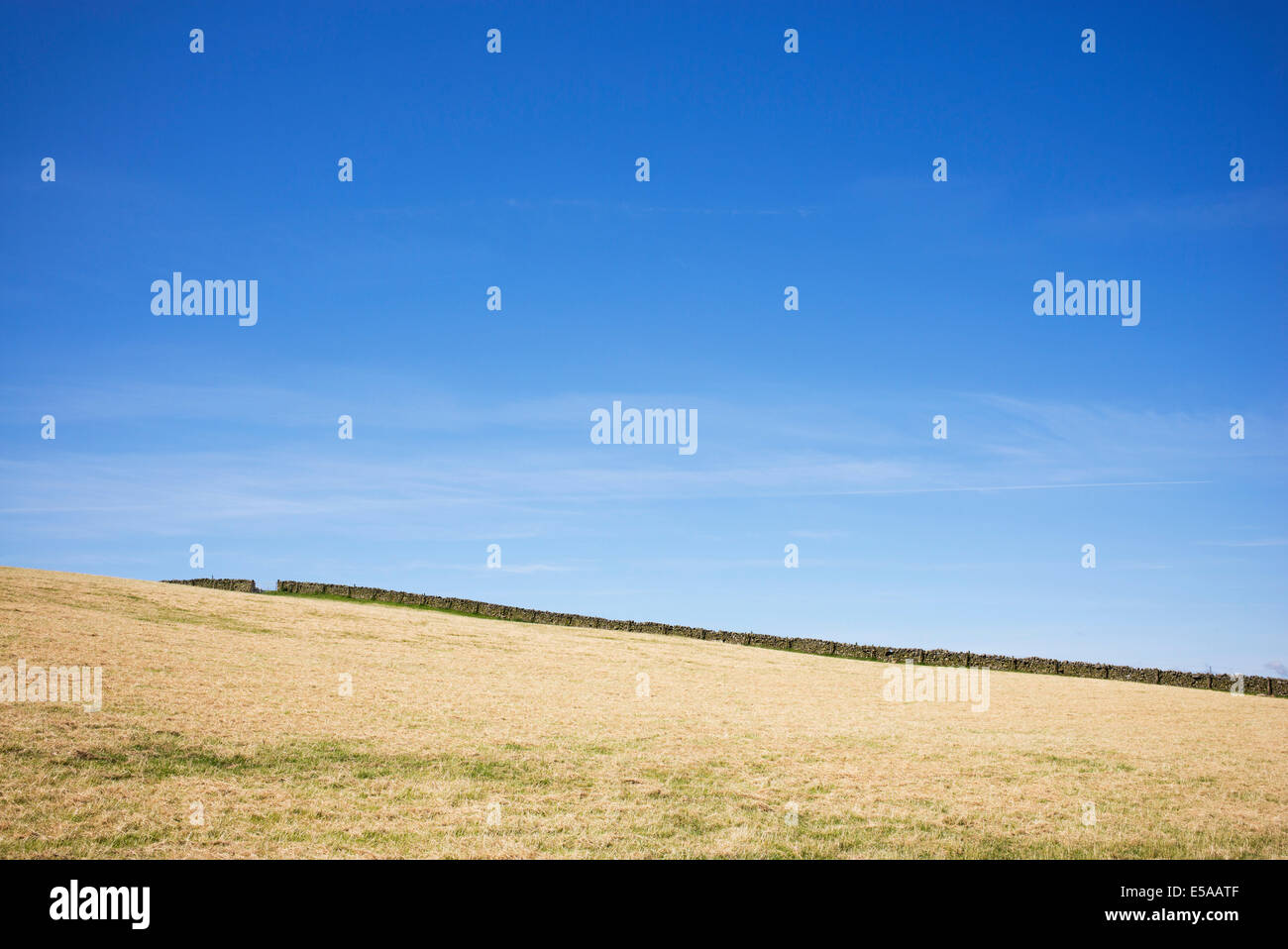 Cut Grass field and blue sky abstract. Scotland Stock Photo