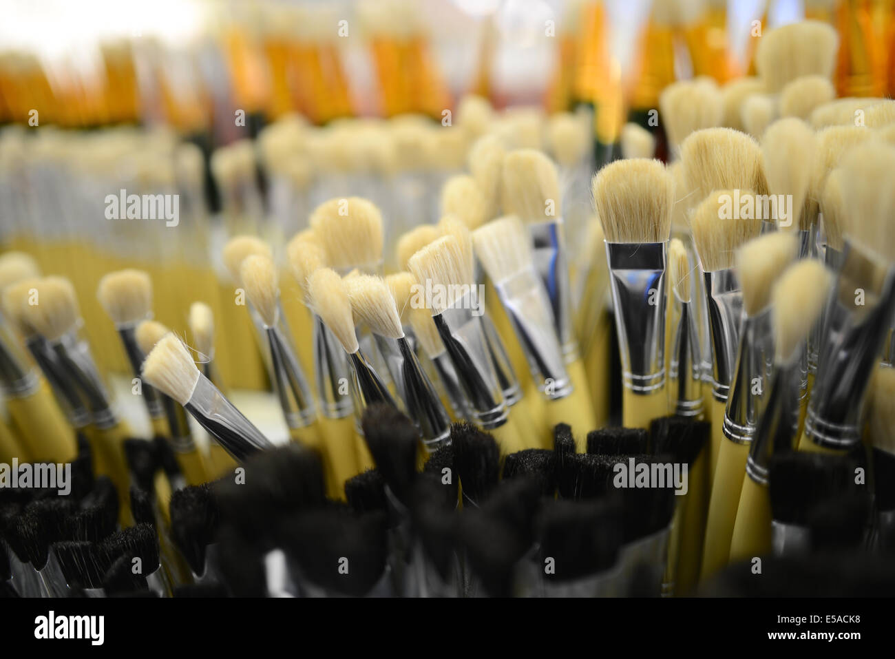new brushes in a shelf Stock Photo