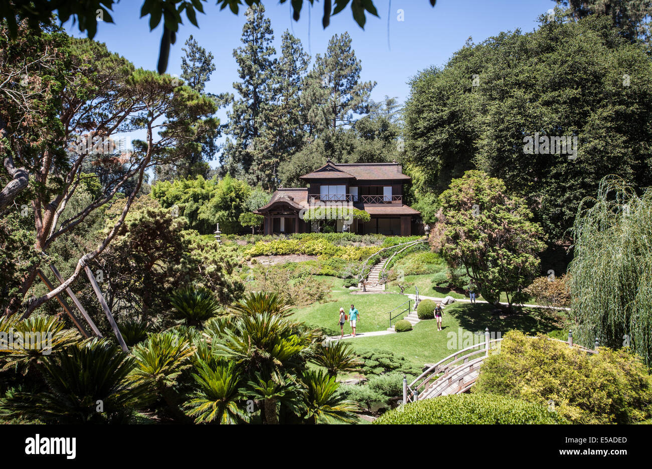 Views of the Huntington Library including the grounds and Japanese Gardens. Stock Photo