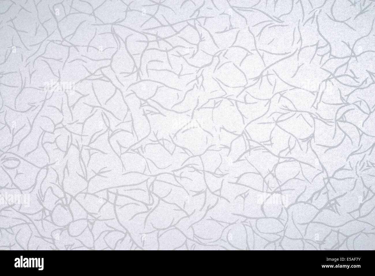 white paper texture Stock Photo
