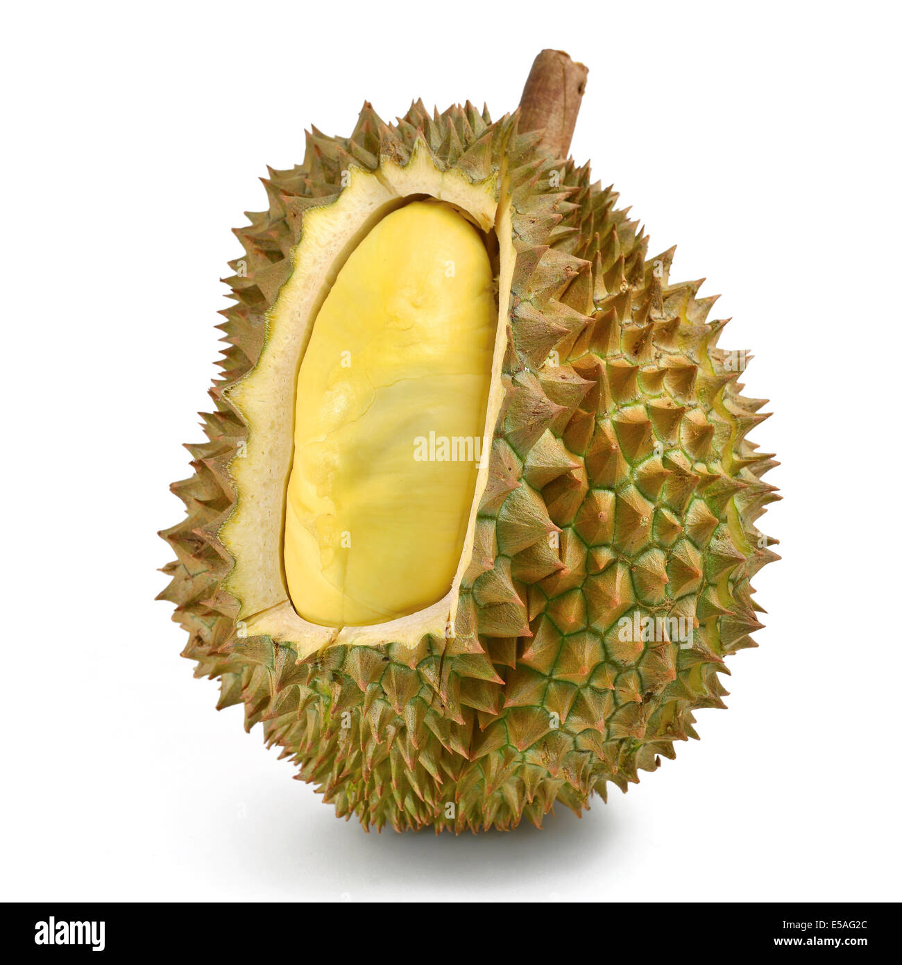 peeled durian isolated on white Stock Photo