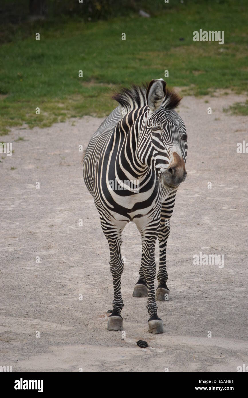 Background and abstract Stock Photo - Alamy