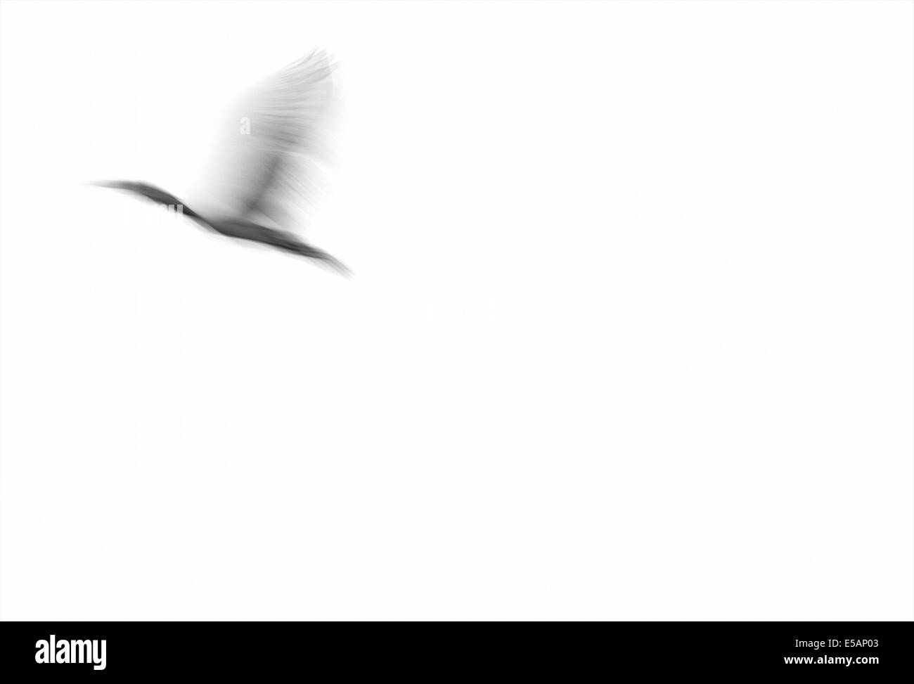 Artistic freedom hi-res stock photography and images - Alamy