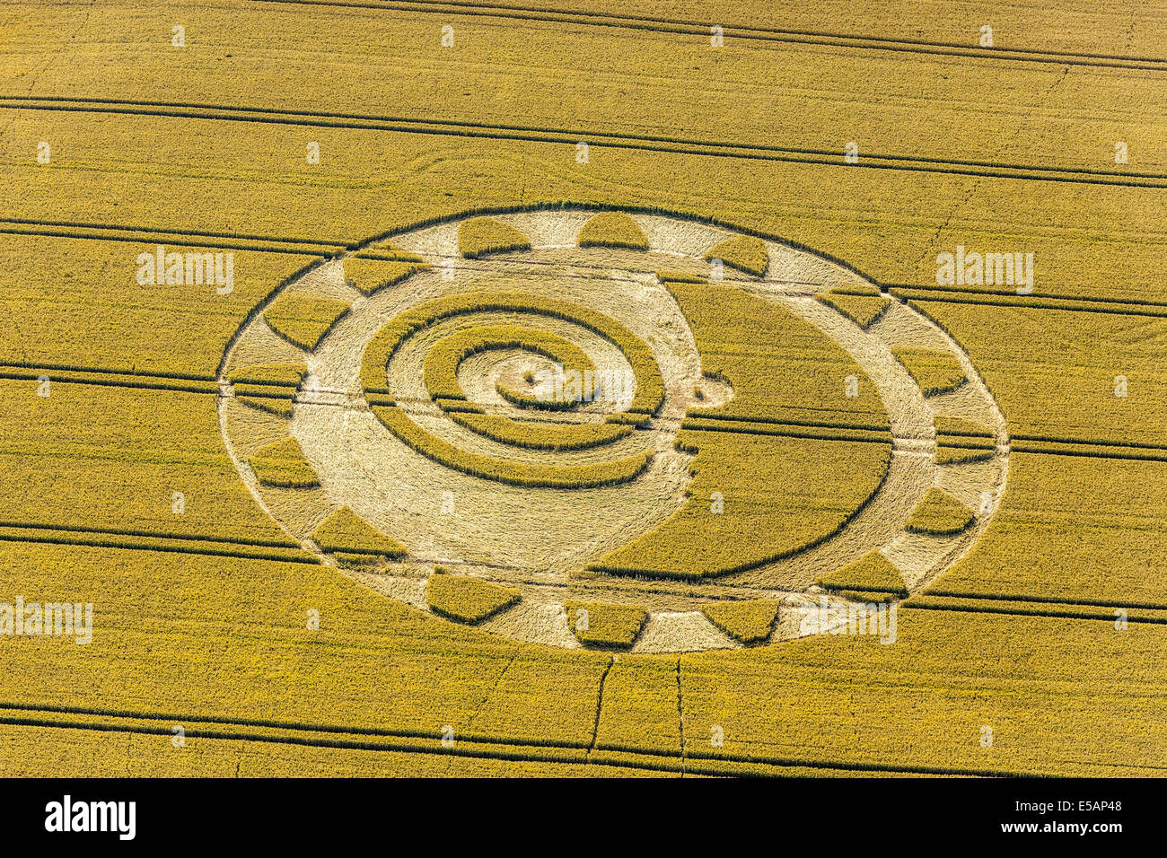 Crop Circle on the downs between Barbury Castle and Hackpen, south of Swindon Wiltshire England summer 2014. JMH6166 Stock Photo