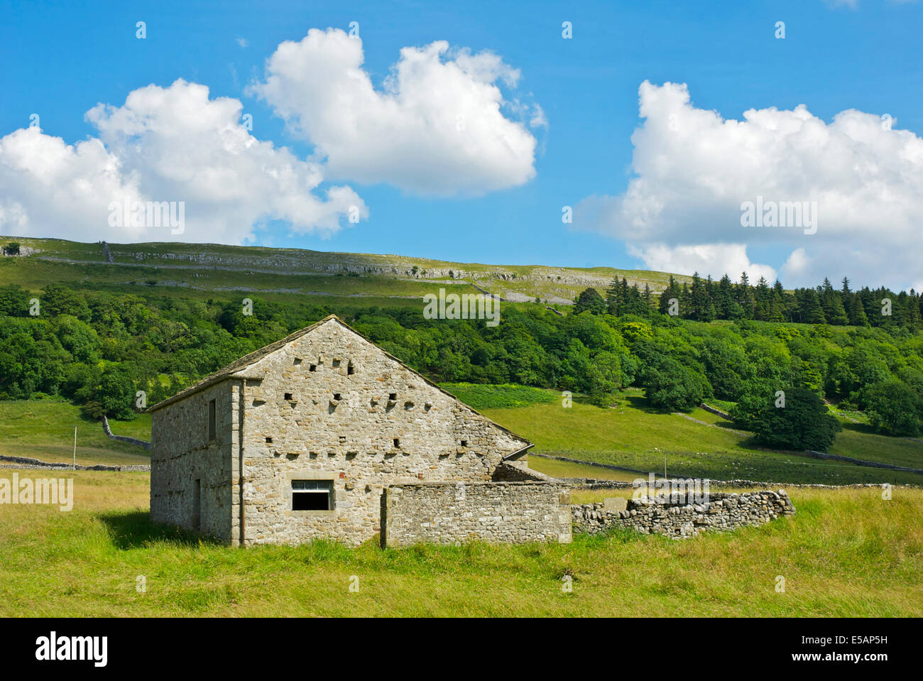 Traditional field barn near Kettlewell, Wharfedale, Yorkshire Dales National Park, North Yorkshire, England UK Stock Photo