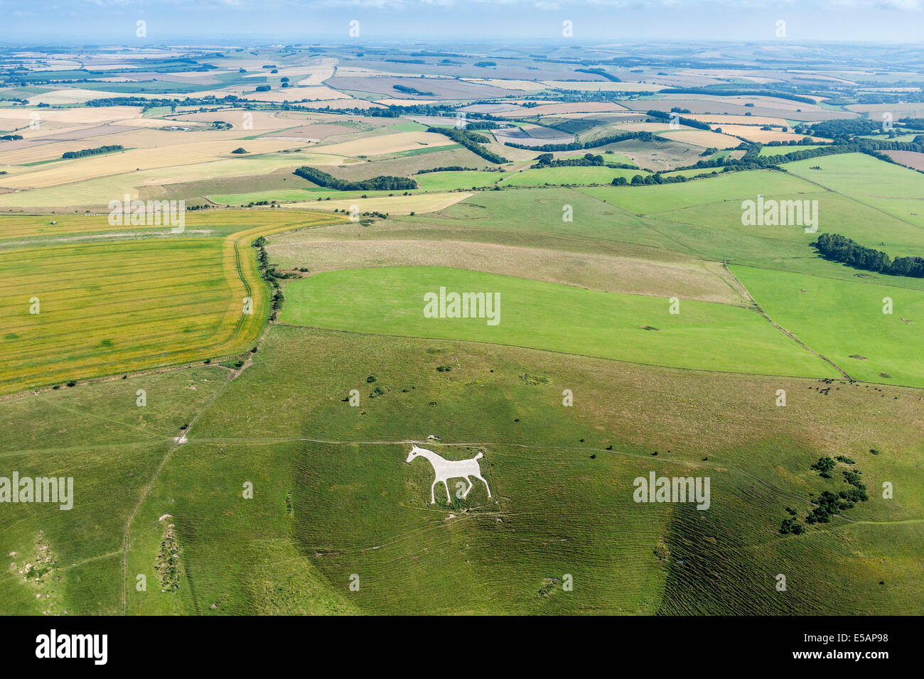 Aerial view of Alton Barnes White Horse, Milk Hill, near Pewsey