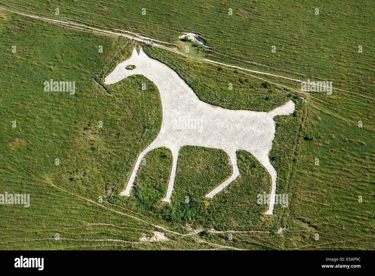 Wiltshire white horse alton hires stock photography and images Alamy