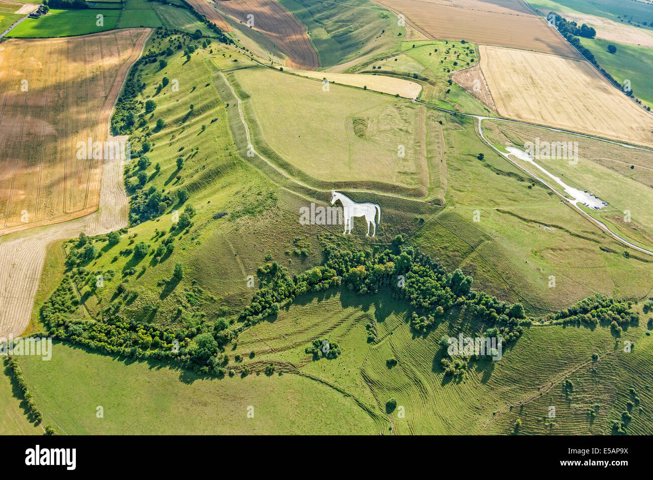 aerial-view-westbury-white-horse-at-bratton-camp-wiltshire-uk-jmh6196-E5AP9X.jpg