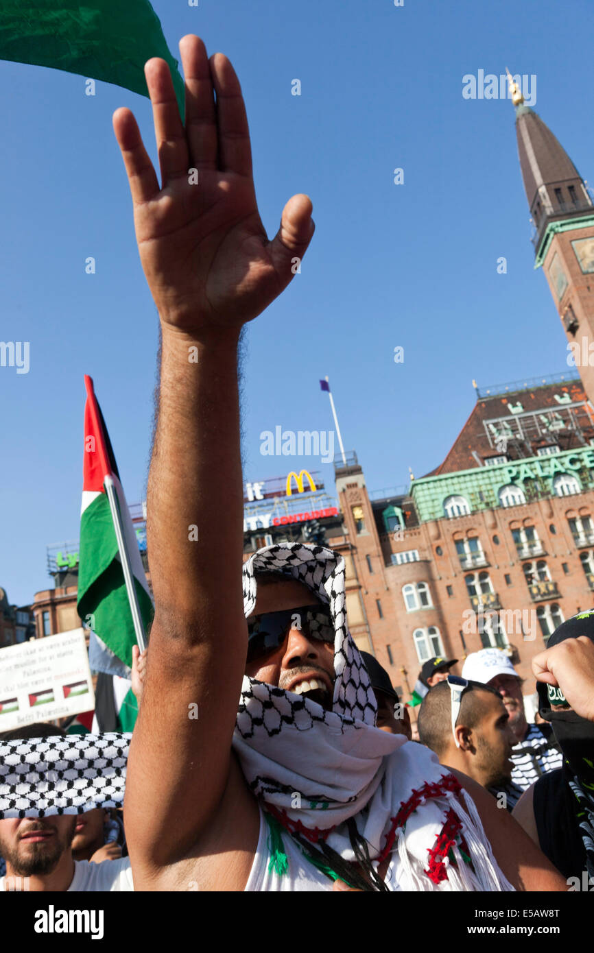 copenhagen-denmark-friday-july-25th-2014-some-2000-people-gather-at-E5AW8T.jpg